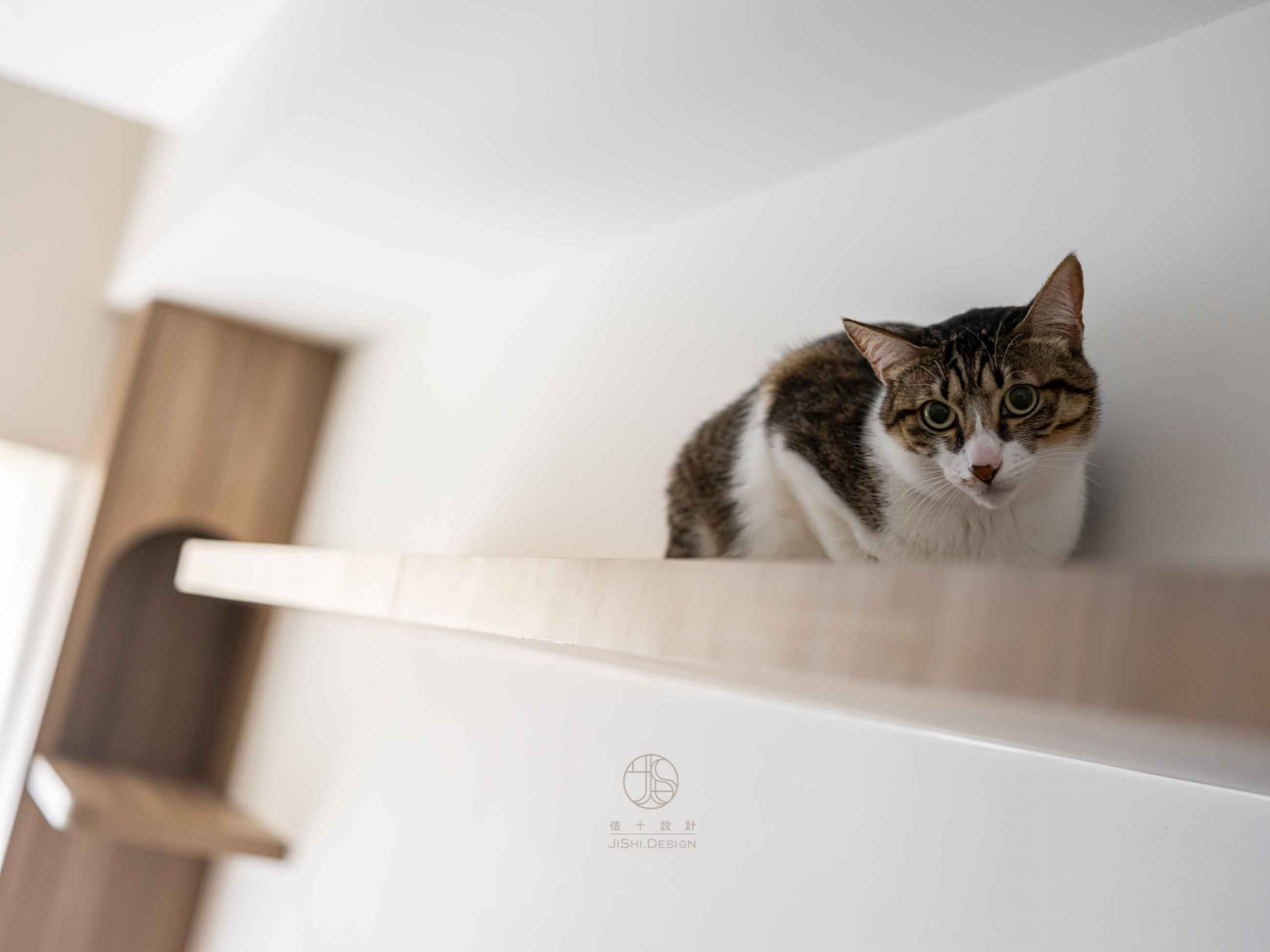 HTML5 Bootstrap Template by colorlib.com