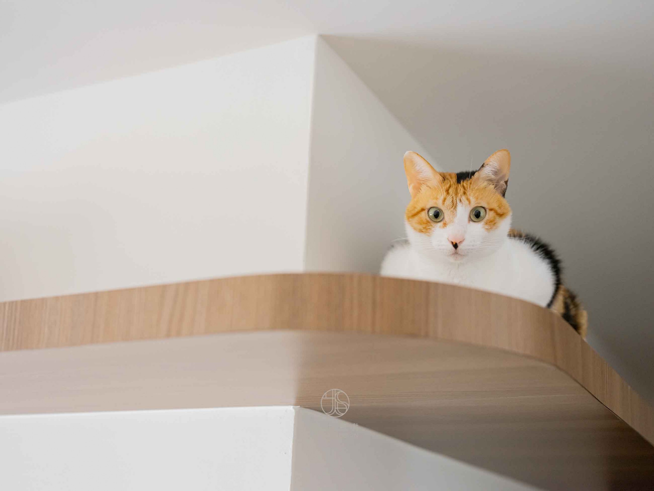 HTML5 Bootstrap Template by colorlib.com